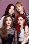Tu es une lyc&eacute;enne fan de Blackpink et ton but est de trouver ton alter ego Blackpink. Qui est ta bias ? (Si tu ne sais pas, mets Lisa, la best !)