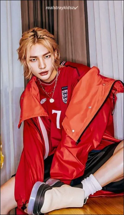 Qui a pour skzoo un lapin-cochon ?