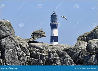 De quelle couleur est le mouton d'Ouessant ?