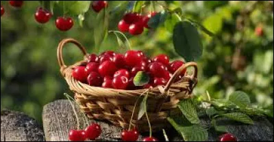 Le mois de juin comporte-t-il 31 jours ?