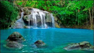 Combien de mètres a-t-il sauté ?