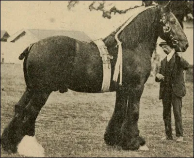 Combien mesurait-il ?