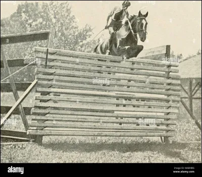 Attaquons maintenant les activités : CSO. Comment s'appelait le cheval qui a sauté le plus haut ?