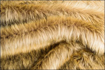 De quelle couleur sera sa robe ?