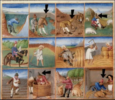 800 - Empire Carolingien > Depuis le IIe s., de petites communautés juives se sont installées autour de certaines villes telles que Aix-la-Chapelle, Tours, Lyon, etc. Les Israélites sont alors ...