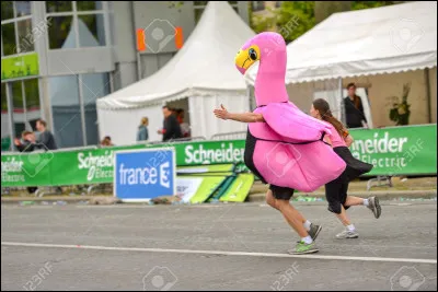 Quel est ton sport préféré ?