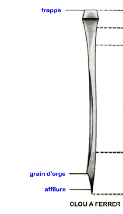 Quelles sont les parties du clou à cheval ?