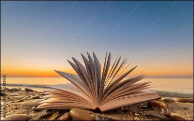 Qu'a écrit Jean-Paul Malaval ?