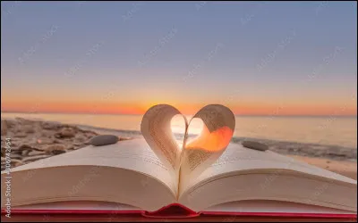 Quel est le livre de Laurent Gaudé ?