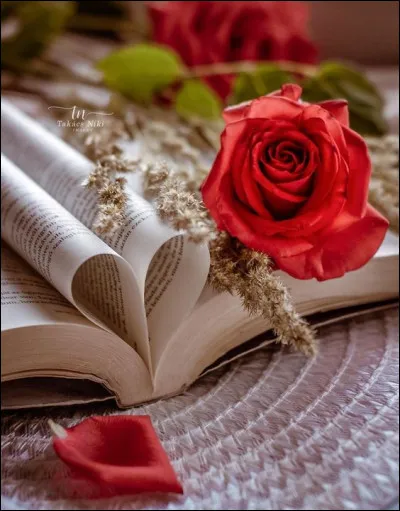 Quelle fleur est noire pour James Ellroy ?