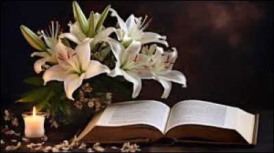 Quelle série de trois tomes a écrit Nora Roberts ?