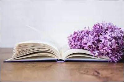 Avec qui Jean Anglade marie-t-il la rose dans son titre ?