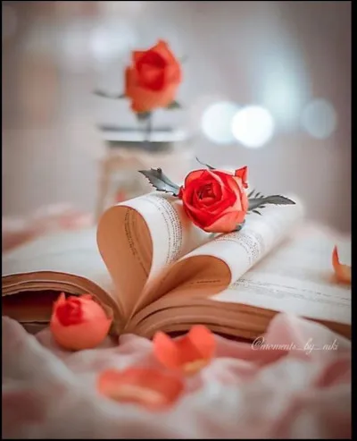 À quelle fleur correspond "La Femme" dans le titre du roman de Noëlle Châtelet ?