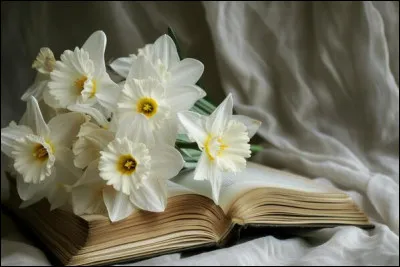 Dans le titre du livre d'Alain Corbin, quelle fleur accompagne "Le Miasme" ?