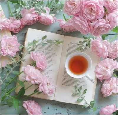 Quelle fleur se trouve "dans la vallée", dans le roman de Balzac ?