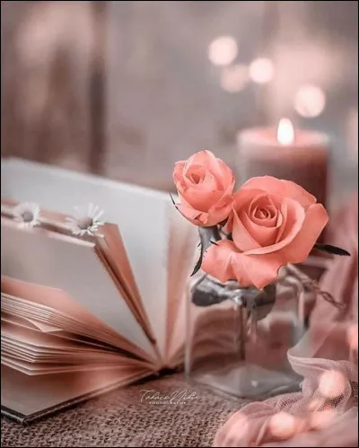 Dans le livre d'Iaroslov Serpan, d'où sont les roses ?