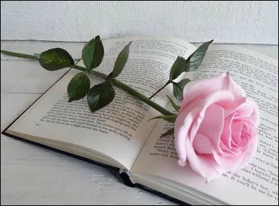 Quel est le nom de la fleur, titre d'Umberto Eco ?