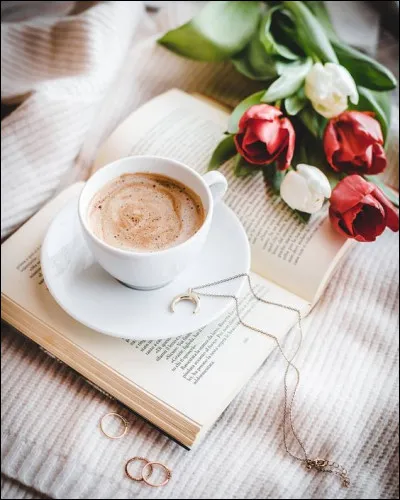 Comment est la tulipe de Jorg Castner ?