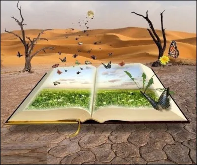 Et enfin, donnez-nous l'auteur de "L"Étranger" !