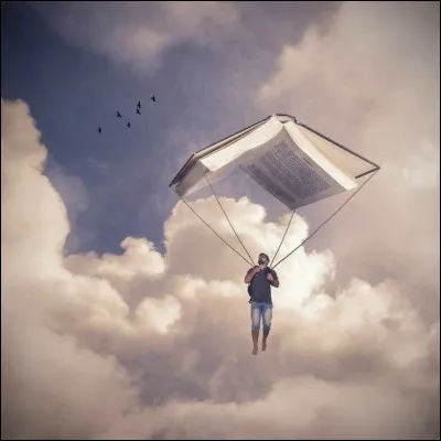 Qui a écrit "La Terre vue du ciel" agrémenté de nombreuses photos ?