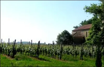 Quel est ce vignoble très ancien, situé principalement dans deux départements voisins et étendu dans le Gers au sud de Riscle, qui donne un vin rouge tannique ?