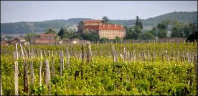 Quel est ce village, situé dans la vallée de lAdour, qui a donné son nom à une appellation de vins blancs et rouges ?