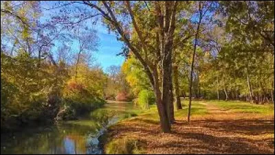 Quelle est cette rivière qui prend sa source sur le plateau de Lannemezan, coule dans l'est du département en arrosant Lombez et L'Isle Jourdain, et se jette dans la Garonne ?