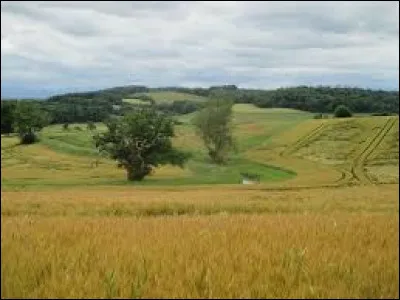 À quelle altitude situez-vous le point culminant du département ?