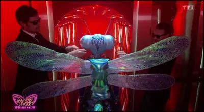 Qui était derrière le costume de la libellule et a été démasqué le vendredi 31 mai 2024 ?