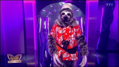 Lors de ''Mask Singer : l'Enquête continue'' du samedi 15 juin 2024, on a pu connaître la véritable identité du Paresseux. Qui se cachait derrière ce costume ?