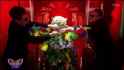 Malheureusement, le Léopard était le premier personnage à être éliminé lors de la finale de ''Mask Singer''. Qui était derrière le costume du léopard et a été le premier à être démasqué le samedi 22 juin 2024 ? ?