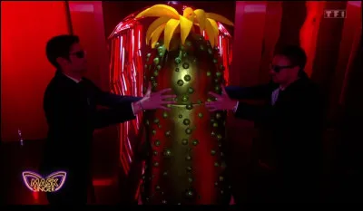 Qui était derrière le costume du Cornichon et a été démasqué le vendredi 10 mai 2024 ?