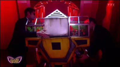 Qui était derrière le costume du Robolapin et a été démasqué le vendredi 24 mai 2024 ?