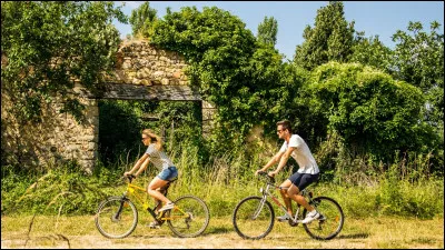 Tes amis te proposent de sortir ; où préfères-tu aller ?