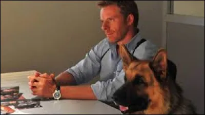 Rex le chien flic est un berger malinois.