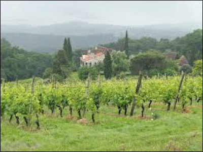 Je vous propose de commencer cette balade au milieu des vignes, à Cabidos. Village viticole Béarnais, traversé par le Luy, il se situe dans le département ...
