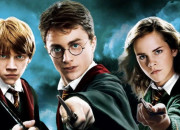 Test Qui es-tu dans le fameux livre ''Harry Potter'' ?