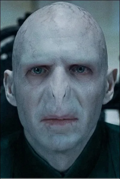 Aimes-tu les mangemorts ?