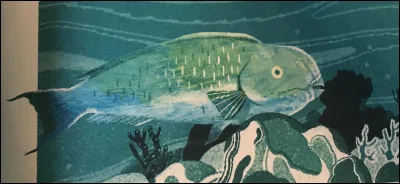 Où est le poisson "Pseudochromis" ?