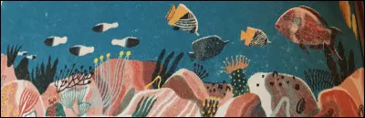 Où est le "Spirobranche-arbre de Noël" ?