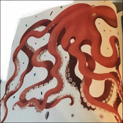 Combien de neurones a un poulpe ?