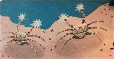 Où est la "crevette-mante" ?