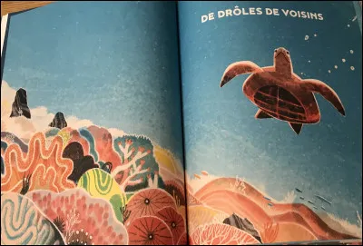 Où est le corail en bonne santé ?