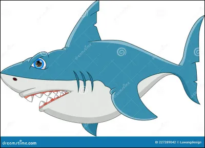 Où est le "requin-baleine" ?