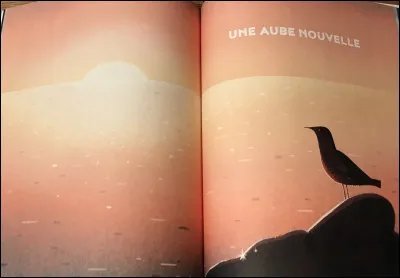 Où est le "dugong" ?