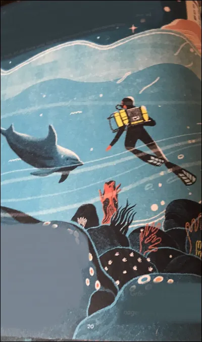 Jusquoù peuvent pousser les coraux ?