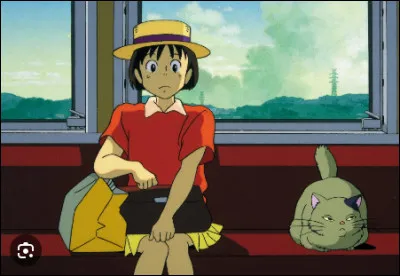 Ce film beaucoup moins connu, sorti en 1995, n'est autre que...