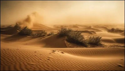 Quel est le plus grand désert chaud du monde ?