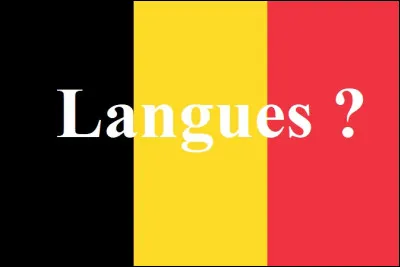 Quelles langues sont les langues officielles de Bruxelles ?