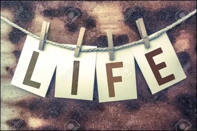 Quelle est la bonne définition de biographie ?